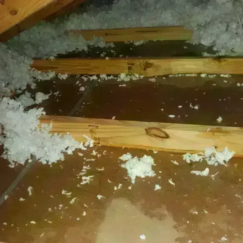 Attic Water Damage in Deerfield, NH