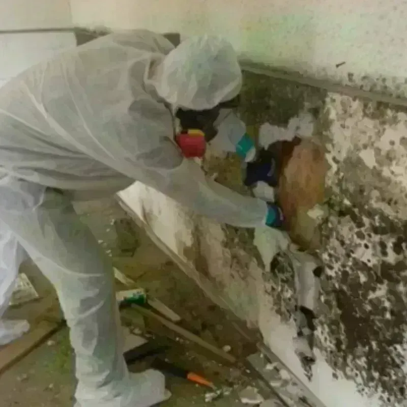 Mold Remediation and Removal in Deerfield, NH